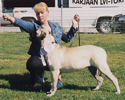 Selma BOB puppy Karjaa 2003